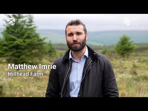Scottish agriculture - Integrating Trees Network - Hillhead Farm
