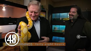 48 Hours” correspondent charmed by python