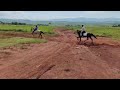 Traditional Horse Racing EMabola MP 26 12 2025 