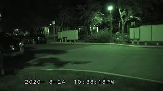 Small Protest With A Lot Of Horse