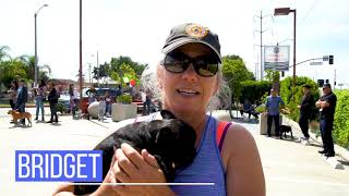 District 2 Pet Clinic