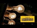 [REVISTA FACTA] - Laboratório de Gambiologia 2 | Luminária Gambiológica