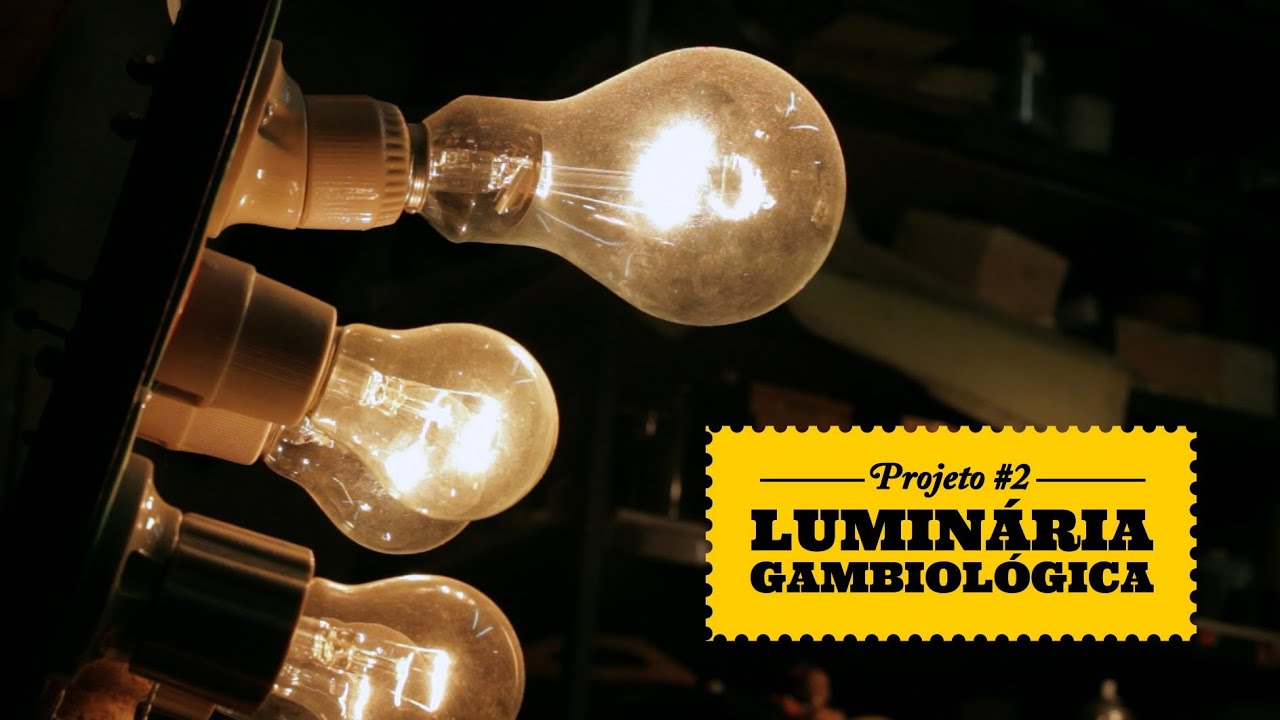 [REVISTA FACTA] - Laboratório de Gambiologia 2 | Luminária Gambiológica - YouTube