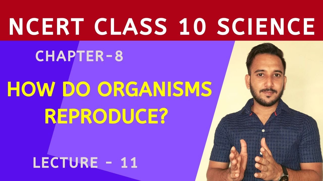 Double fertilization in plants |How do organisms |class 10 biology |L-11|star education