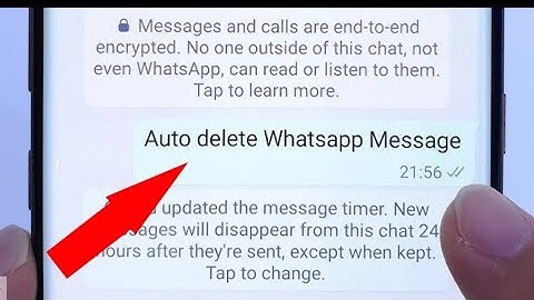 Set Auto Delete WhatsApp Message, Disappearing Message