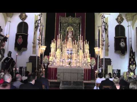 Venerable Hermandad de la Caridad en Cristo Nuestro Señor y Cofradía de Nazarenos del Santísimo Cristo de la Agonía, María Santísima de las Penas, Reina y Madre, y Santo Domingo de la Calzada
