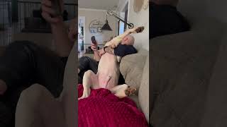 Adorable 1-Year-Old Puppy Craves Attention