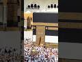 makkah live mashallah #shortvideo #shortsfeed #islamic #live #islam#shorts #makkah #kabalive #india
