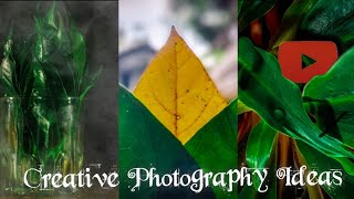 3 Easy Home Photography Ideas using Leaf for Instagram | Creative mobile photography Tricks