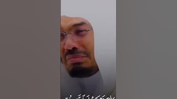 الشيخ ياسر الدوسري سوره الانعام