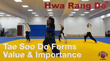 HWARANGDO Online Global University (HOGU): Tae Soo Do® Forms - Stance, Value & Importance