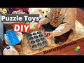 Brain Games for Dogs - DIY Puzzle Toys
