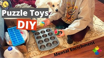 Brain Games for Dogs - DIY Puzzle Toys