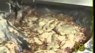 Swopper.AVI