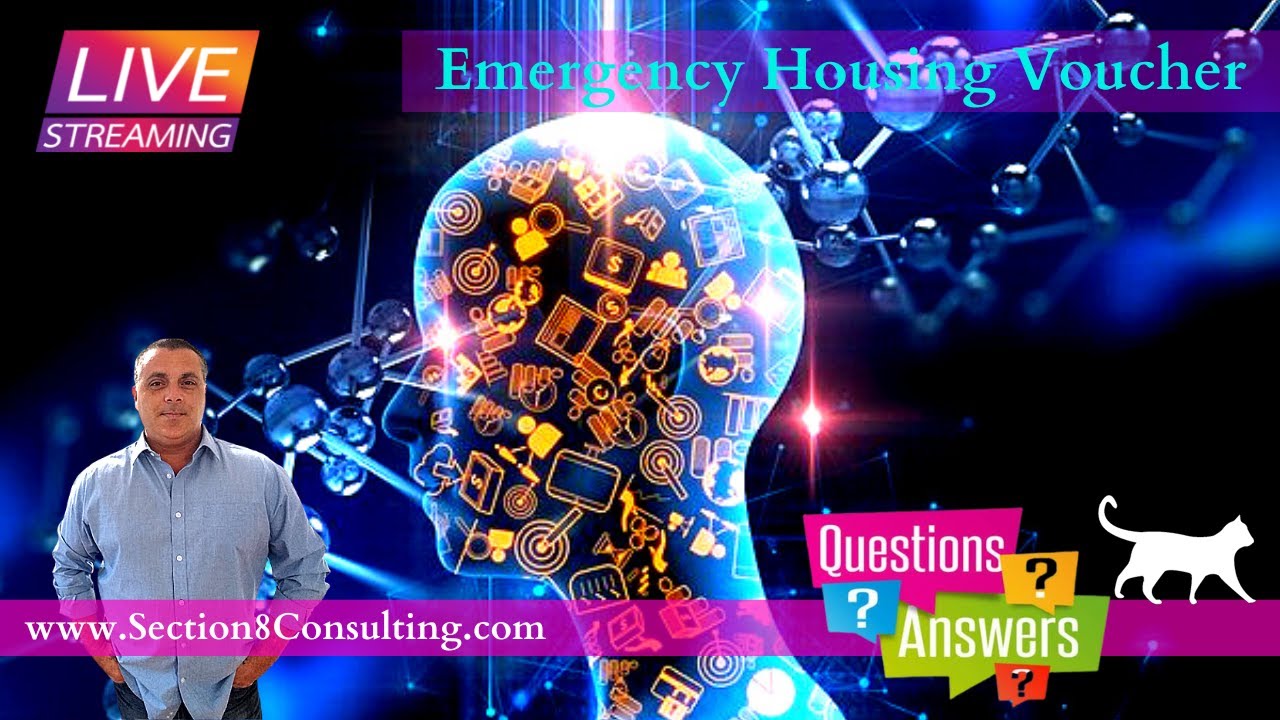 how-to-get-emergency-housing-assistance-emergency-housing-voucher