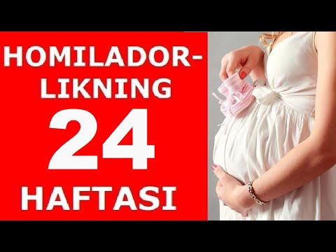 Video: Homiladorlikning 24 Xaftasi: Hislar, Homila Rivojlanishi