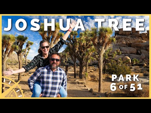 Video: Joshua Tree National Park: la guida completa