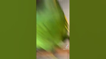 Thumbnail of Erica