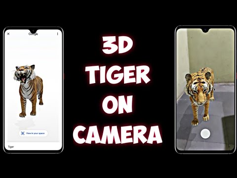 Tiger 3d Tutorial  Live Animals in Your Home Space 