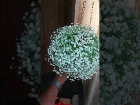 اهار لمسات اون لاين فلورز