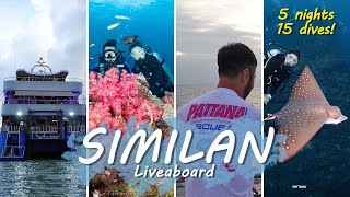 How Is It Like On Luxurious Similan Liveaboard | Eat Dive Sleep Repeat