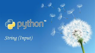 Python String (Input)