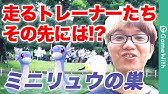 ポケモンgo レアポケだらけで聖地確定 元浜公園行ってきた Pokemon Youtube
