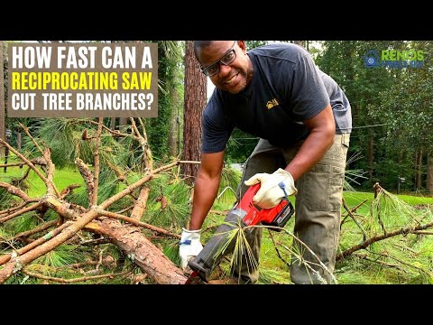 Using a Reciprocating Saw to Cut Tree Branches