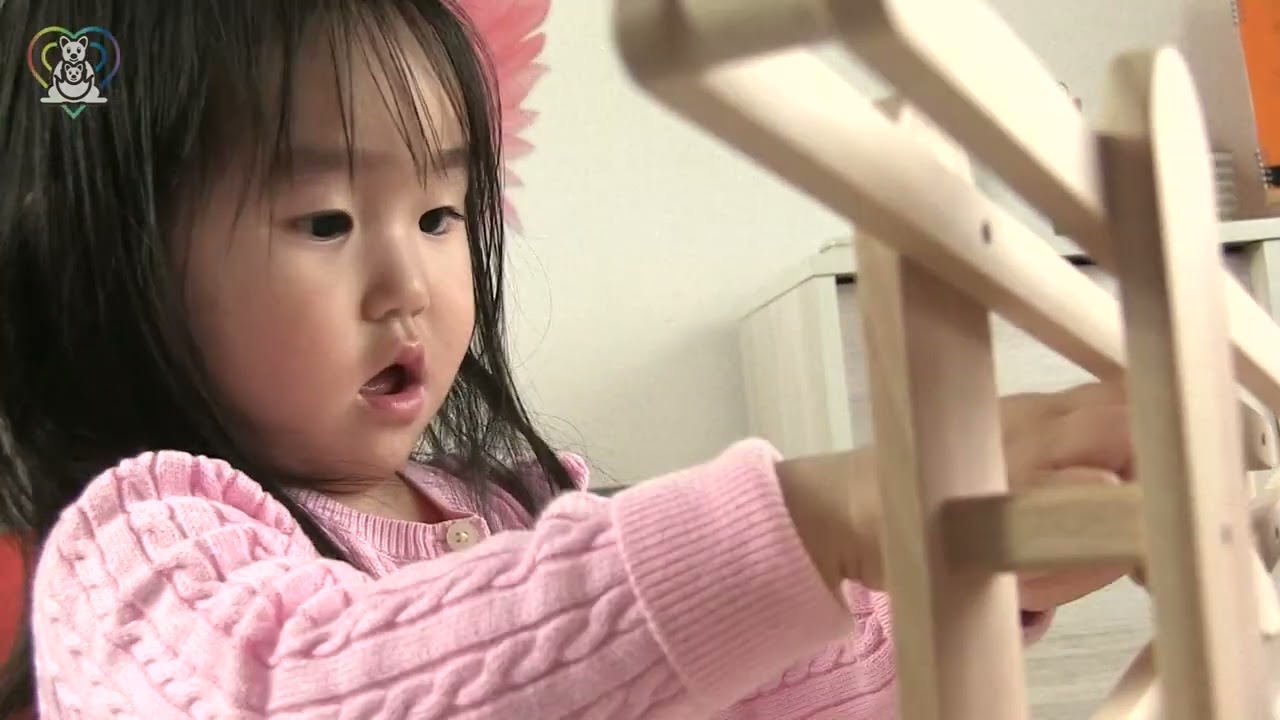 なかよしライブラリー ころころ動物 スロープトイ 皇室ご愛用の木のおもちゃ 8ヶ月～5歳まで幅広く使える。コロコロ