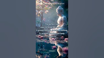 🧘‍♀️ The Mind