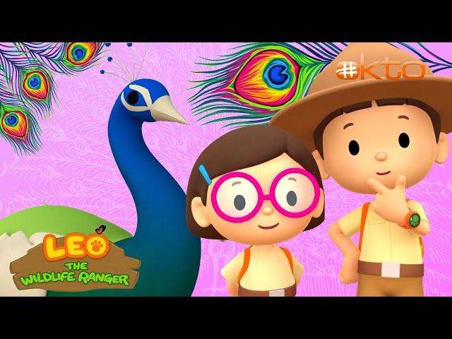 Leo the Wildlife Ranger | HELP a PEACOCK Find a GIRLFRIEND❤️| FULL EP | @mediacorpokto        ​ class=