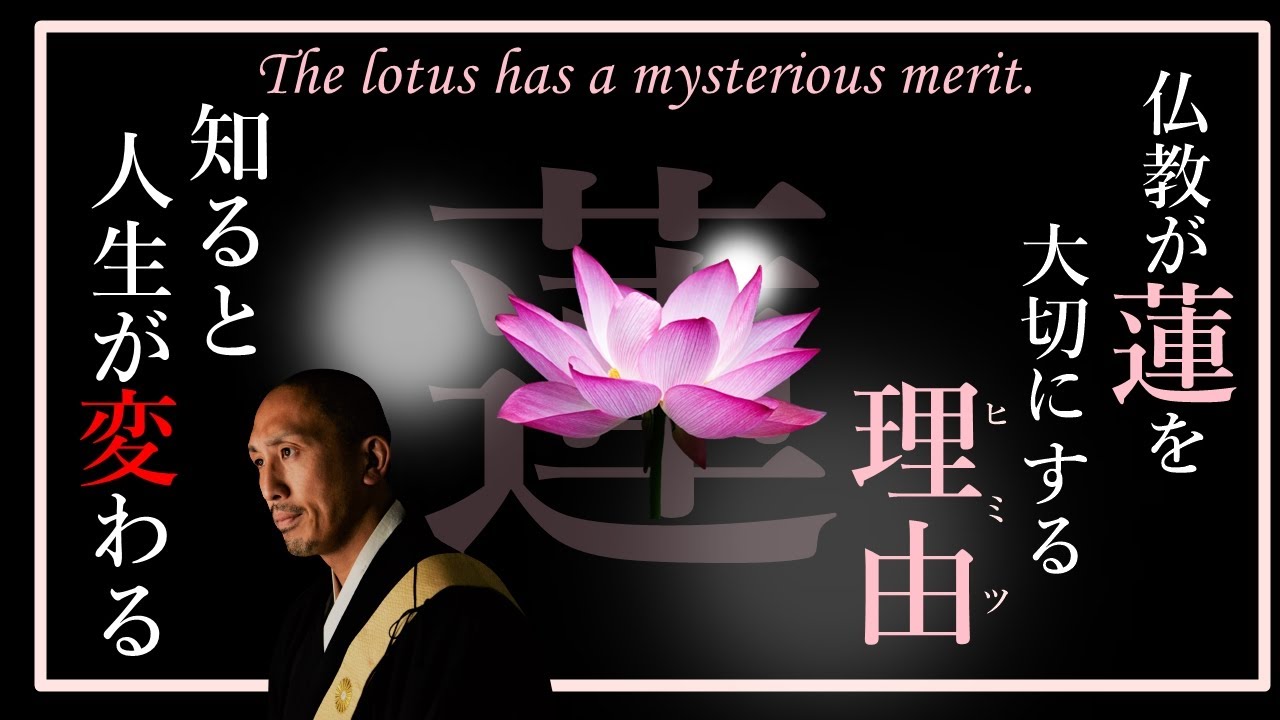 ほとんどの人が知らない蓮華の謎…それを知ると人生観が変わる。なぜ仏教では蓮華の花なのか…