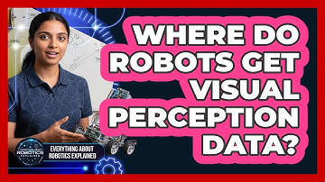 Where Do Robots Get Visual Perception Data?