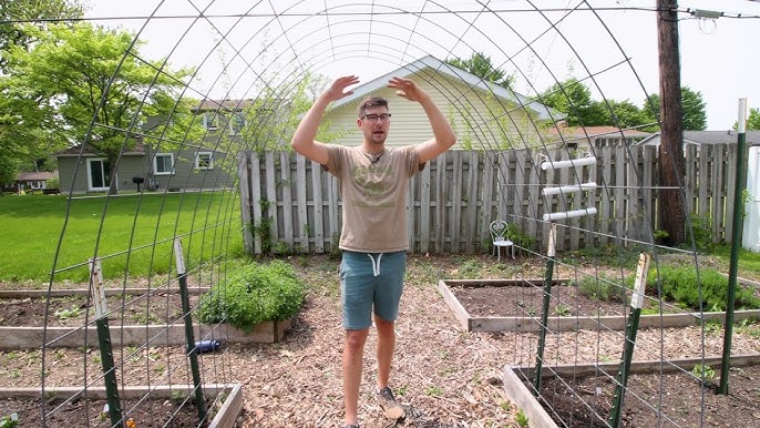 How to Build a Cucumber Trellis Using Only ONE PIECE of WOOD, CHEAP and  EASY Backyard Gardening 