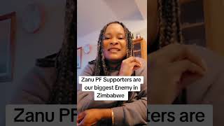 Zanu pf Supporters should be Arrested Especially those singing Constitution Amendment 3.