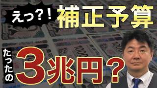 コロナ禍73兆円、今回3兆円。国の危機なのに補正予算が少なすぎる
