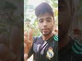 10 de dezembro de 2024