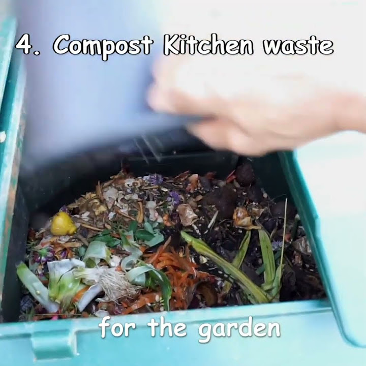 Kitchen Garden Hacks: Kitchen Storm Update   Grow More, Faster! - ri323rn