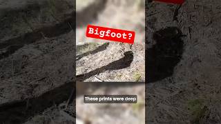 These prints were deep. . .what made  them?  #bigfoot #nature