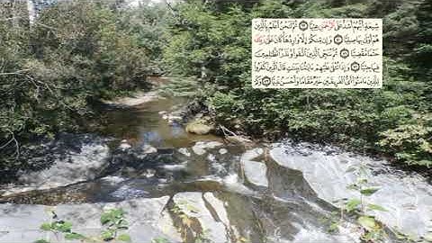 310-page سعد الغامدي - -سورة مريم Marie (Maryam)-19