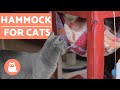 Hammock for Cats - EASY PET DIY Hammock for Cats - EASY PET DIY