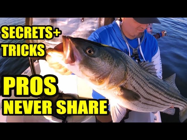 Striper Fishing MAGNETS! Striped Bass love these things! How to take  advantage of these areas. 