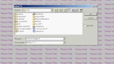 Accounting Software  -  Printing Reports to Printer and Disk