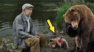 The crying mother bear brought the dying bear cub to the fisherman! To tears!