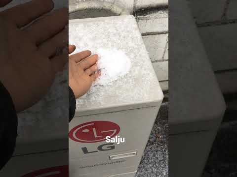 Video: Seperti apa sebenarnya kepingan salju itu?