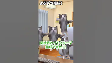 よろずや が結成するまでの猫ミーム Shorts 猫ミーム 
