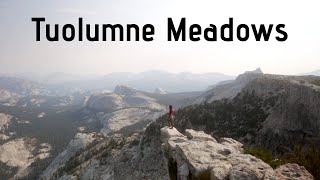 The Beauty of Tuolumne Meadows | Feat. Cathedral Peak, Tenaya Peak, and the Medlicott Boulder
