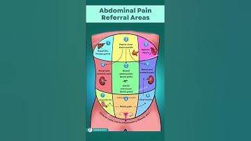 Abdominal Pain Referral Areas You Need to Know About NOW