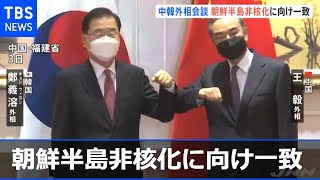 中韓外相会談 朝鮮半島非核化に向けて一致