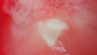 Icy Volcano - Dry Ice Water Experiment